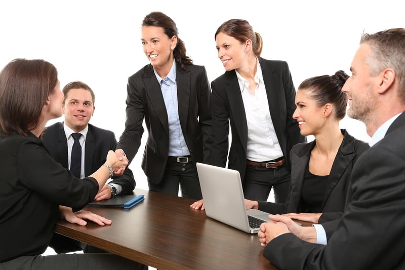 Business and Finance Career