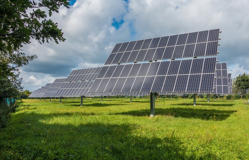 Sustainability Trend